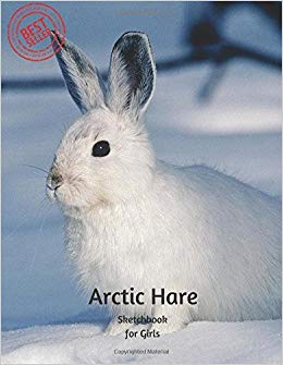 260x335 arctic hare sketchbook for girls blank paper for drawing - Arctic Hare Drawing