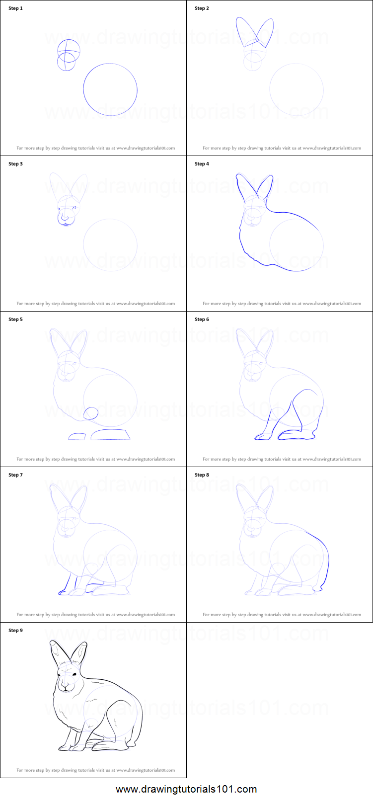 751x1616 how to draw a arctic hare printable step - Arctic Hare Drawing