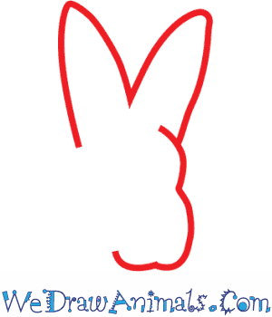 300x350 how to draw an arctic hare - Arctic Hare Drawing