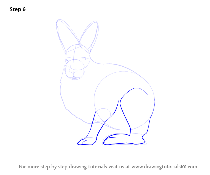 714x596 learn how to draw a arctic hare - Arctic Hare Drawing