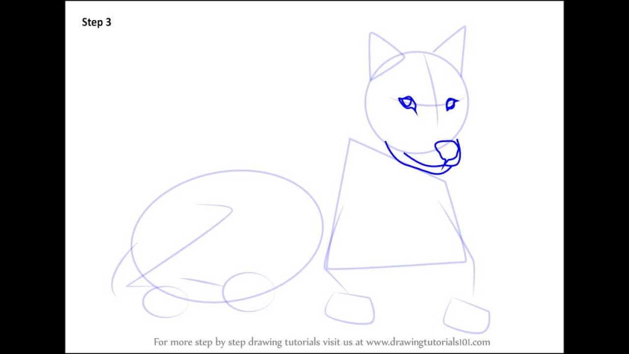 1280x720 How To Draw Arctic Wolf - Arctic Wolf Drawing