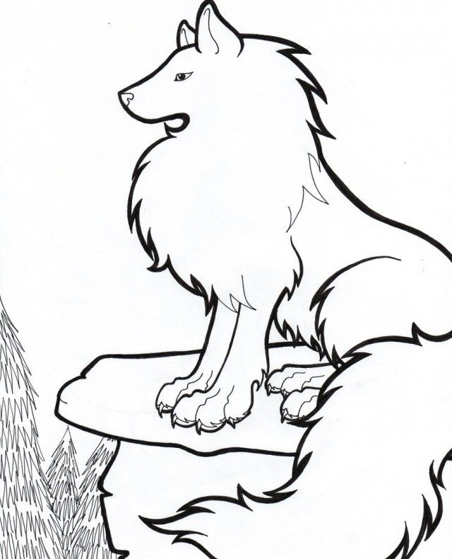 640x790 arctic wolf drawing clipart best arctic wolf coloring pages - Arctic Wolf Drawing