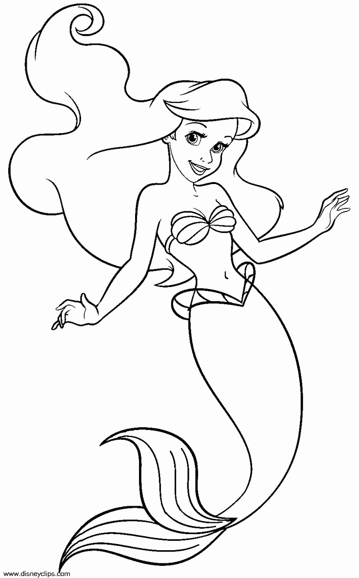 Ariel Mermaid Drawing at PaintingValley.com | Explore collection of ...