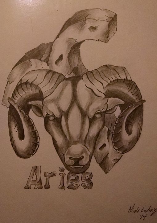 509x720 aries - Aries Drawings