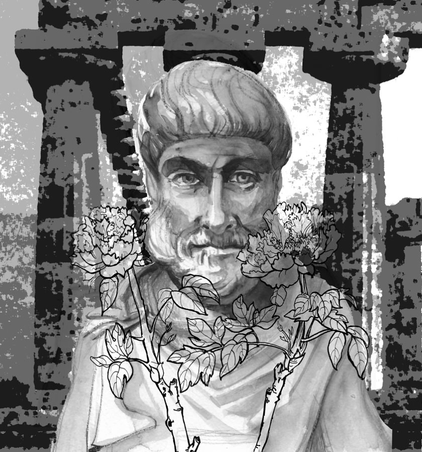840x900 Aristotle Drawing - Aristotle Drawing