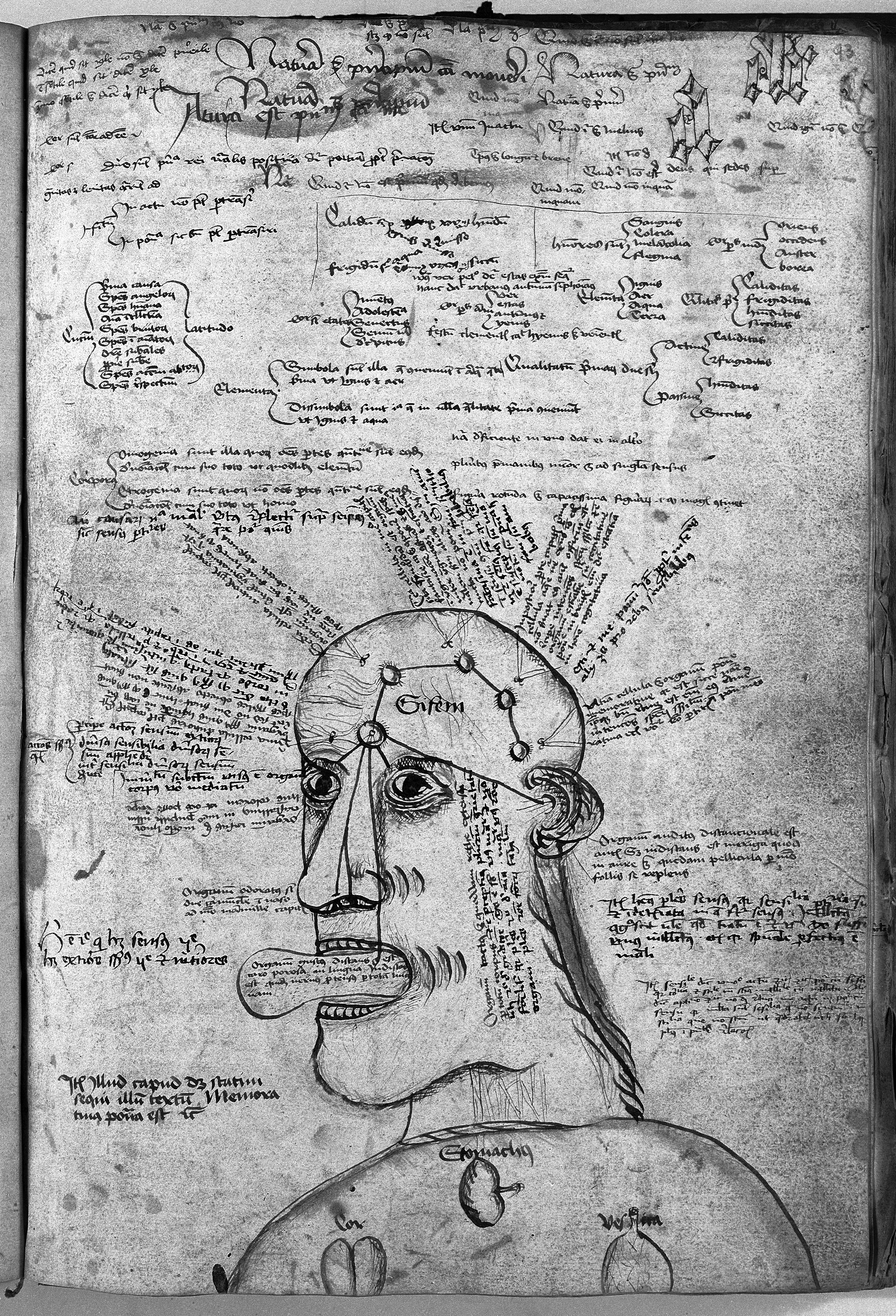 2752x4040 Filearistotle Manuscript Drawing, Leipzig Wellcome - Aristotle Drawing