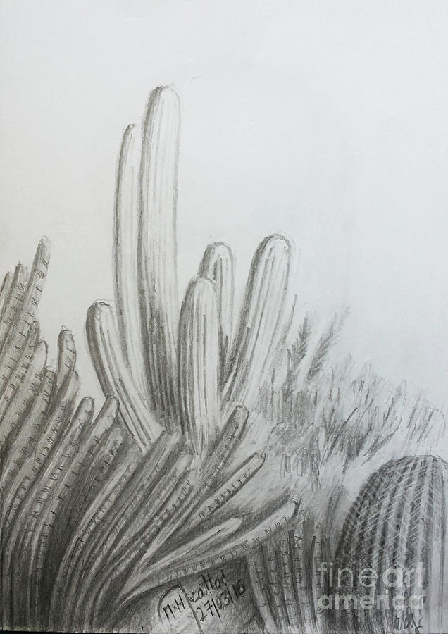 636x900 of the arizona cacti drawing - Arizona Drawing