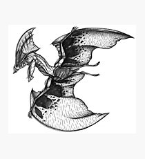 210x230 ark survival evolved drawing photographic prints redbubble - Ark Drawing