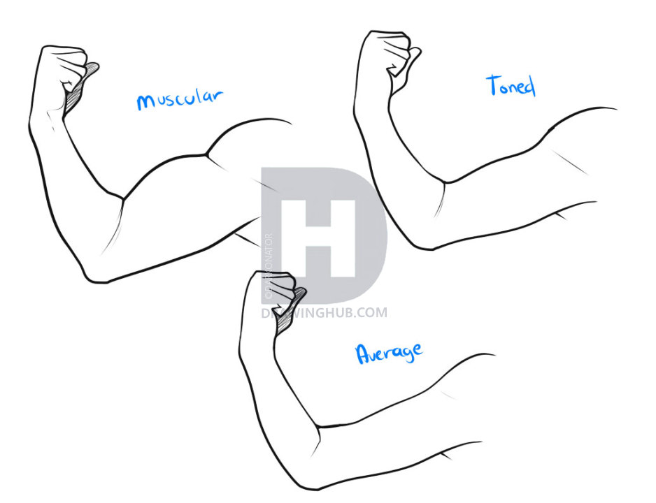 938x720 How To Draw A Muscle, Step - Arm Drawing