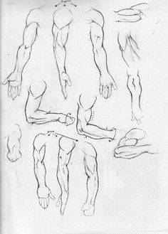 236x329 How To Draw Muscles, Step - Arm Drawing
