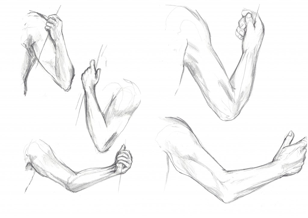 human arm sketch