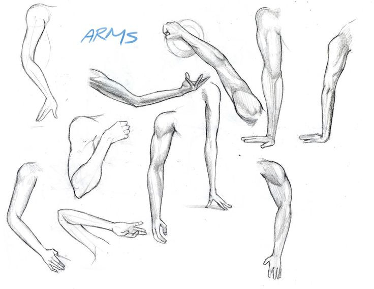 736x568 Drawing Arms Sketch Arm Closet Designer Best Of Best - Arm Drawing