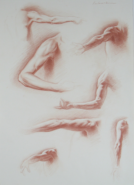 436x600 Drawing Basics Understanding Anatomy Of The Arm - Arm Drawing