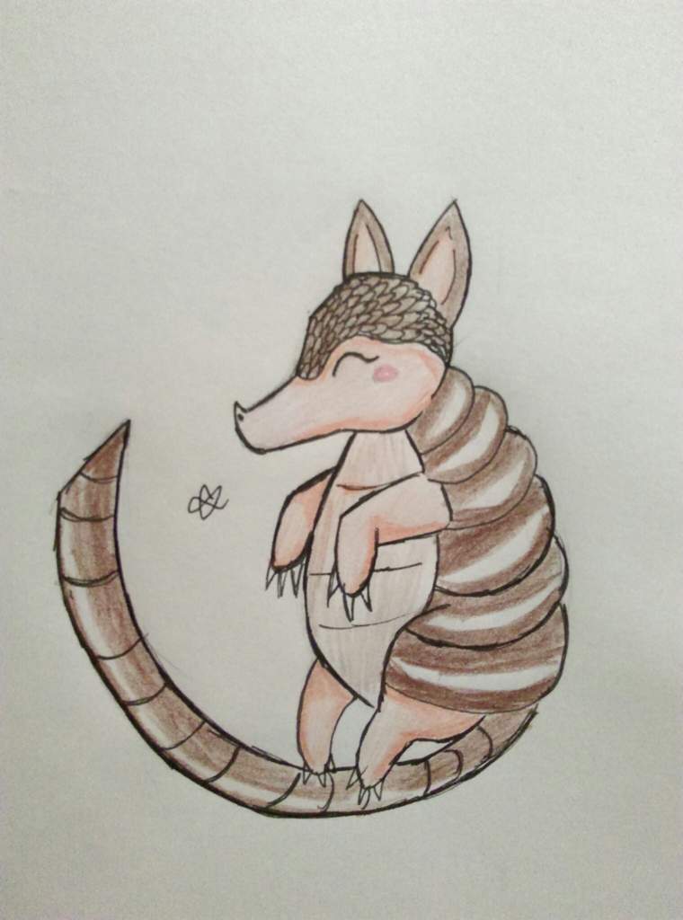 760x1024 armadillo drawing challenge amino amino - Armadillo Drawing