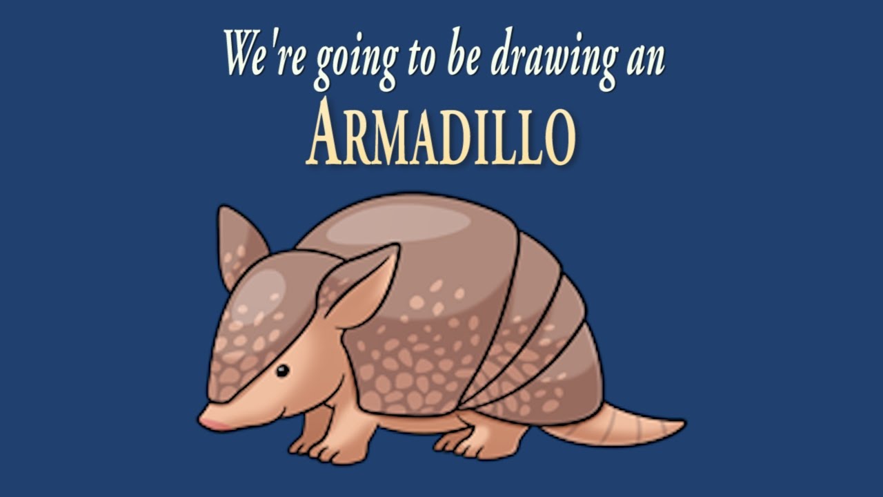 1280x720 How To Draw A Cute Little Armadillo Easy Drawing Artninja - Armadillo Drawing