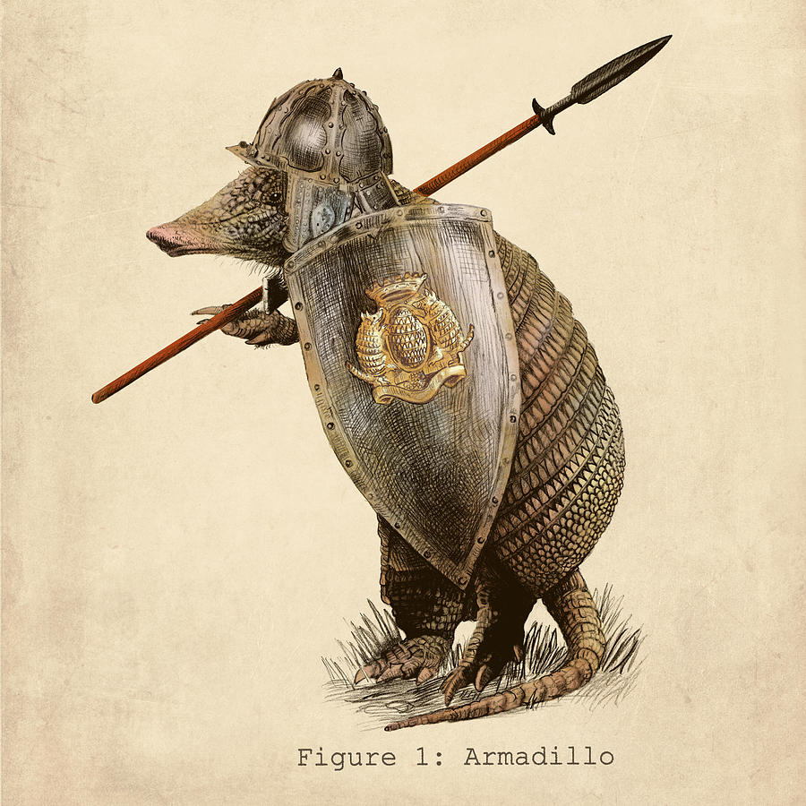 900x900 Armadillo Drawing - Armadillo Drawing