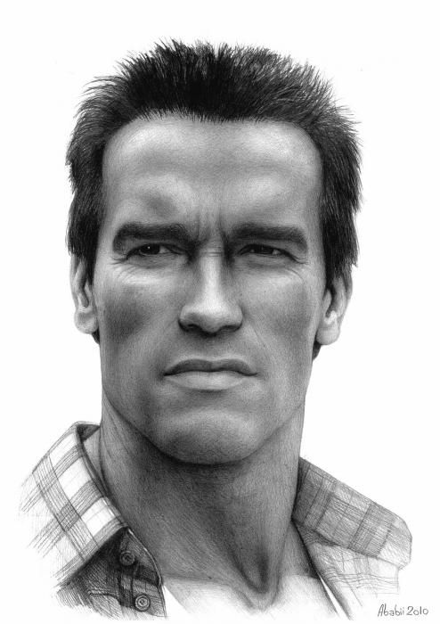 494x700 Arnold Schwarzenegger - Arnold Drawing