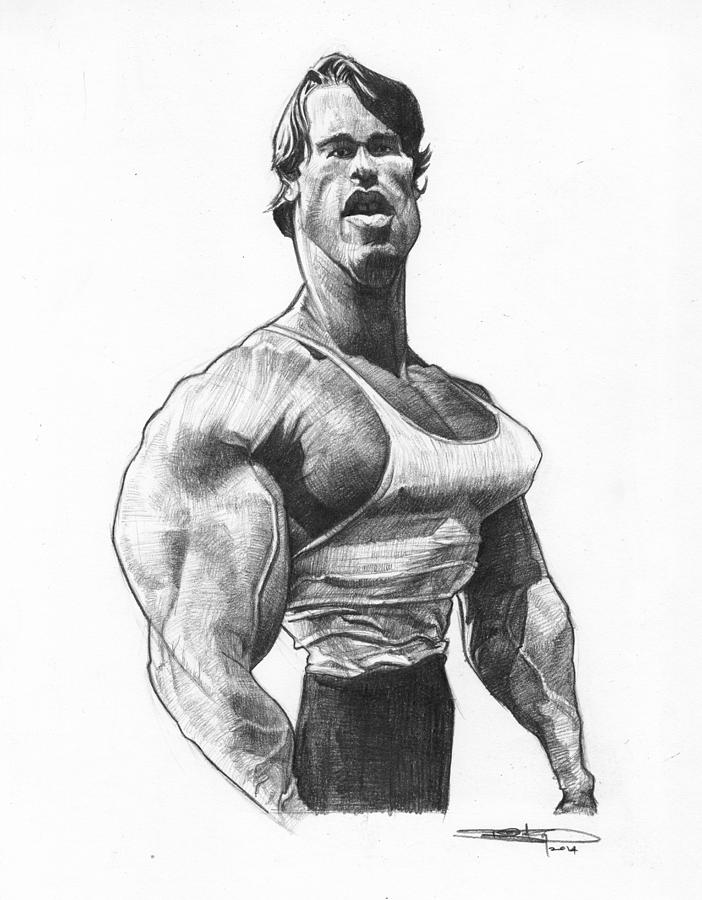 702x900 Arnold Schwarzengger Drawing - Arnold Drawing