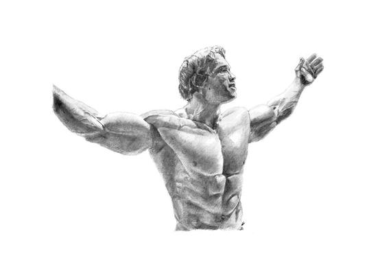 570x401 Original Arnold Schwarzenegger Pencil Drawing Etsy - Arnold Schwarzenegger Drawing