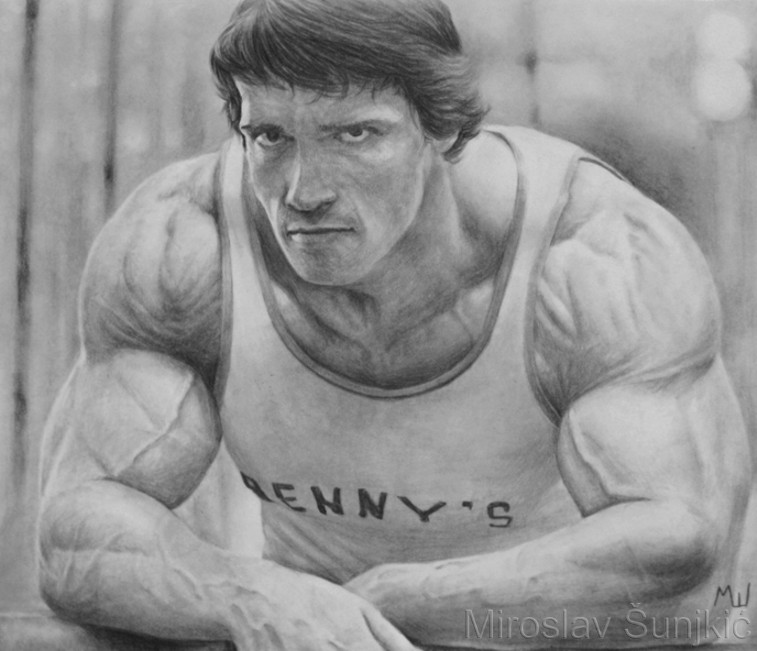 757x651 The Oak Pencil Drawing Of Arnold Schwarzenegger Miroslav - Arnold Schwarzenegger Drawing