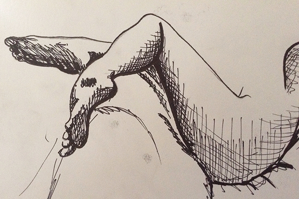 600x400 Oma Life Drawing Class - Art And Drawing