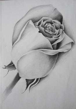 262x375 Art And Drawing Class In Perambur - Art And Drawing