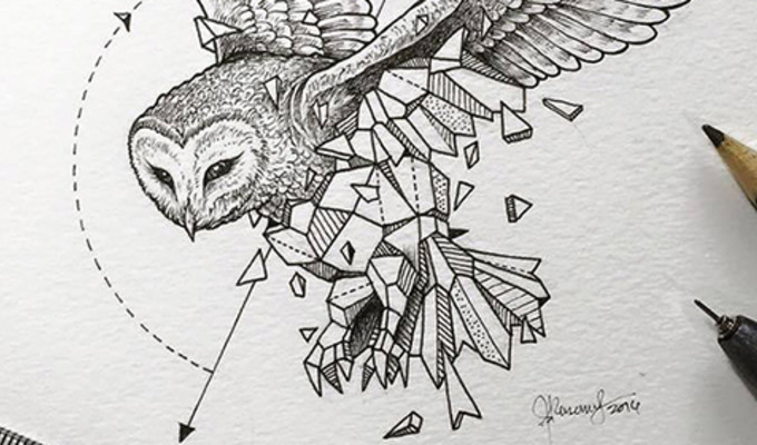 680x400 Artist Creates Extraordinary Geometric Animal Illustrations - Art Animals Drawing