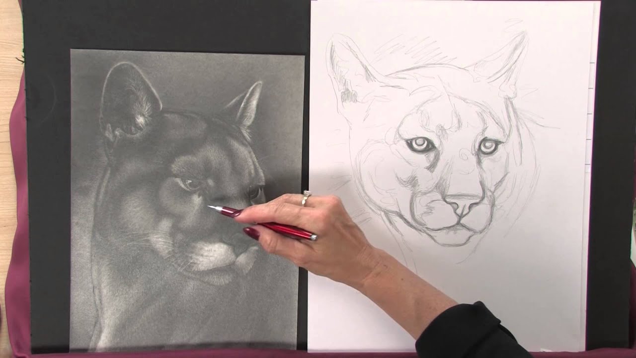 1280x720 Preview Art Lessons With Lee Hammond Draw Animals In Nature - Art Animals Drawing
