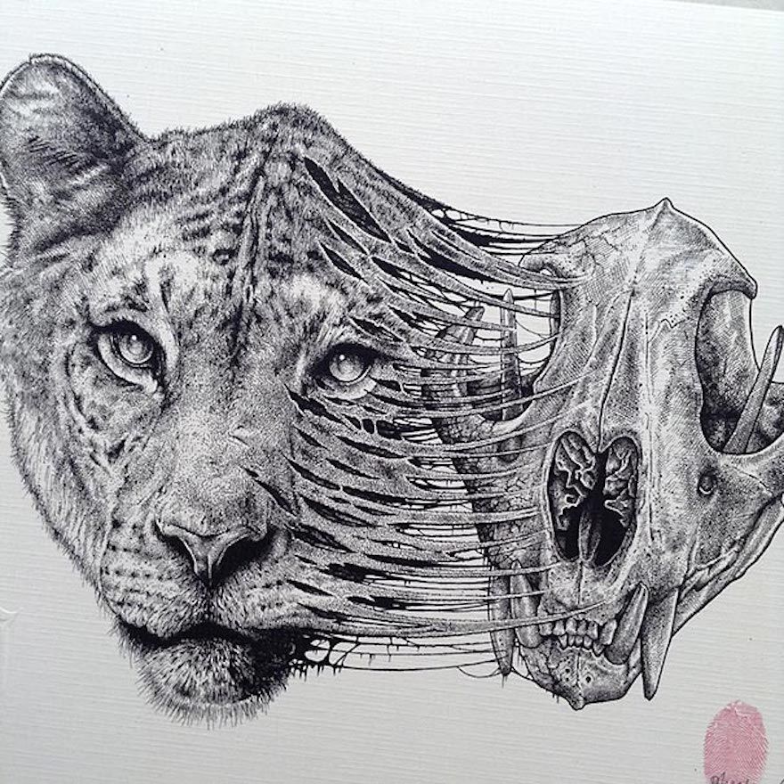 880x880 Animals Evolve Out Of Their Skeletons In Dark Drawings - Art Animals Drawing