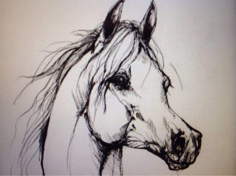 800x598 Fine Art Drawing Photos, Warje Malwadi Warje, Pune Pictures - Art Drawing