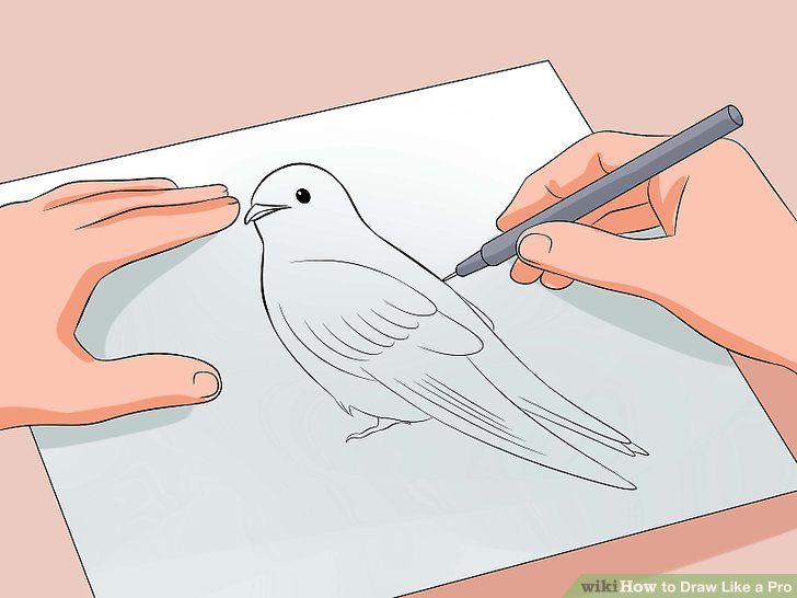 728x546 How To Draw Like A Pro Steps - Art Drawing Drawing