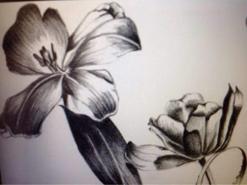 800x598 Fine Art Drawing Photos, Warje Malwadi Warje, Pune Pictures - Art Drawing Images