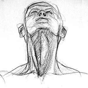 300x300 Drawing For Beginners - Art Drawings For Beginners