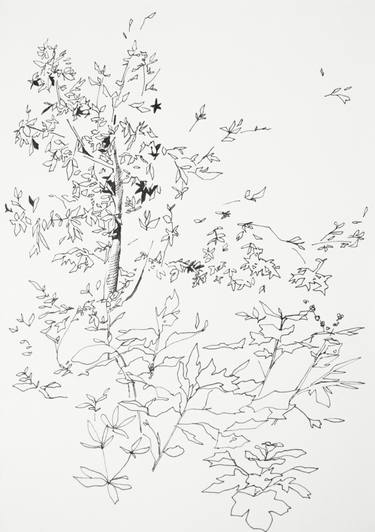 375x532 Tree Drawings For Sale Saatchi Art - Art Drawings For Sale