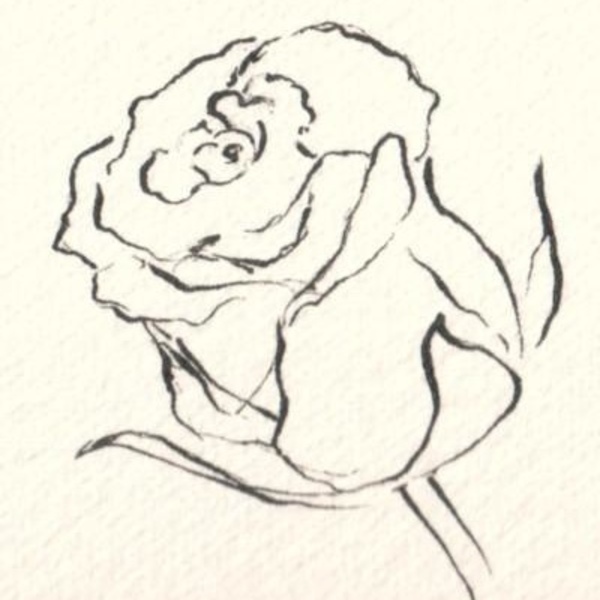 600x600 The Art Of Drawing Flowers - Art Pictures Drawing