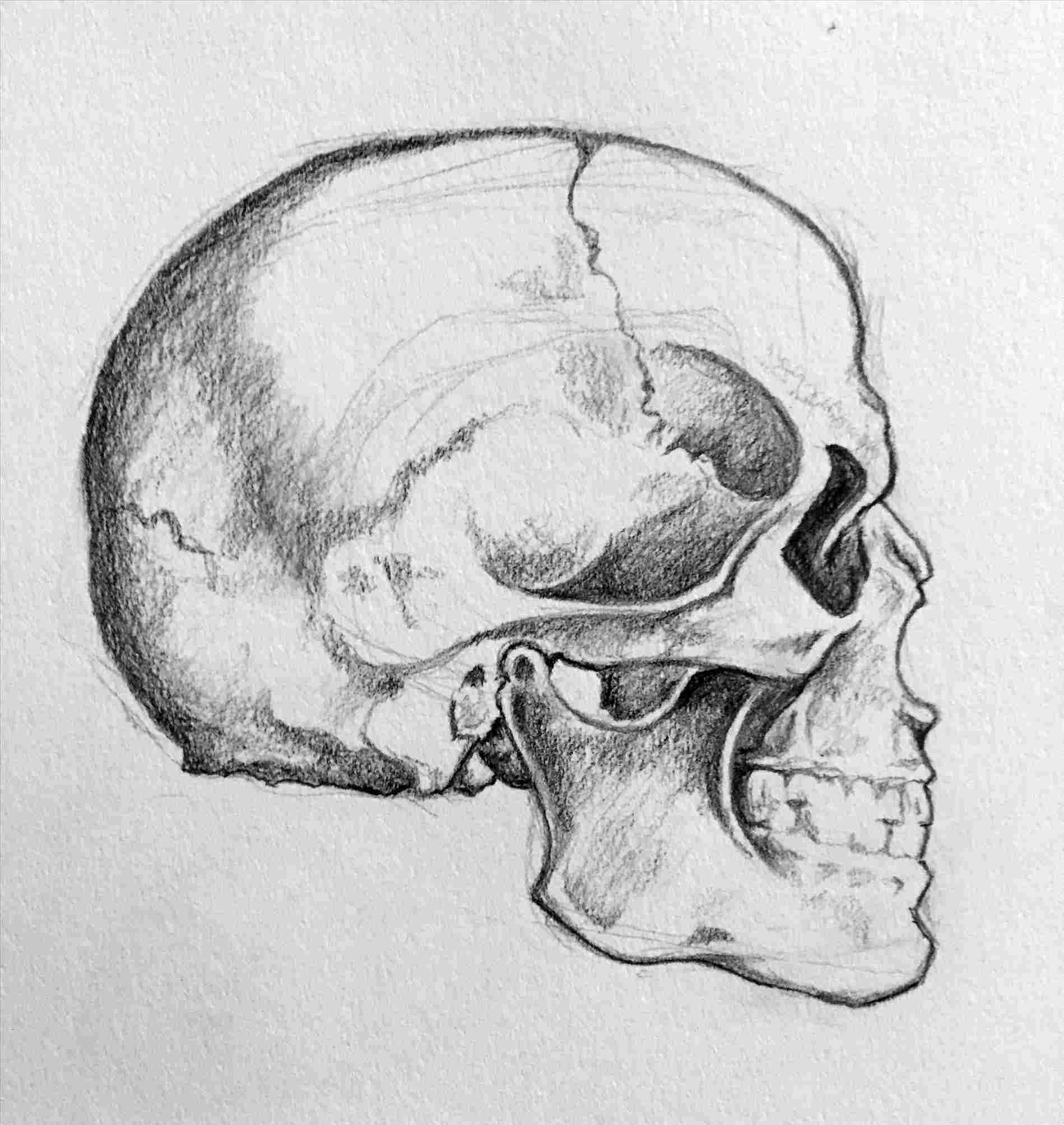 1899x2007 Google Search Art Websites Blogs Resource Rhcom Drawing - Art Websites Drawing