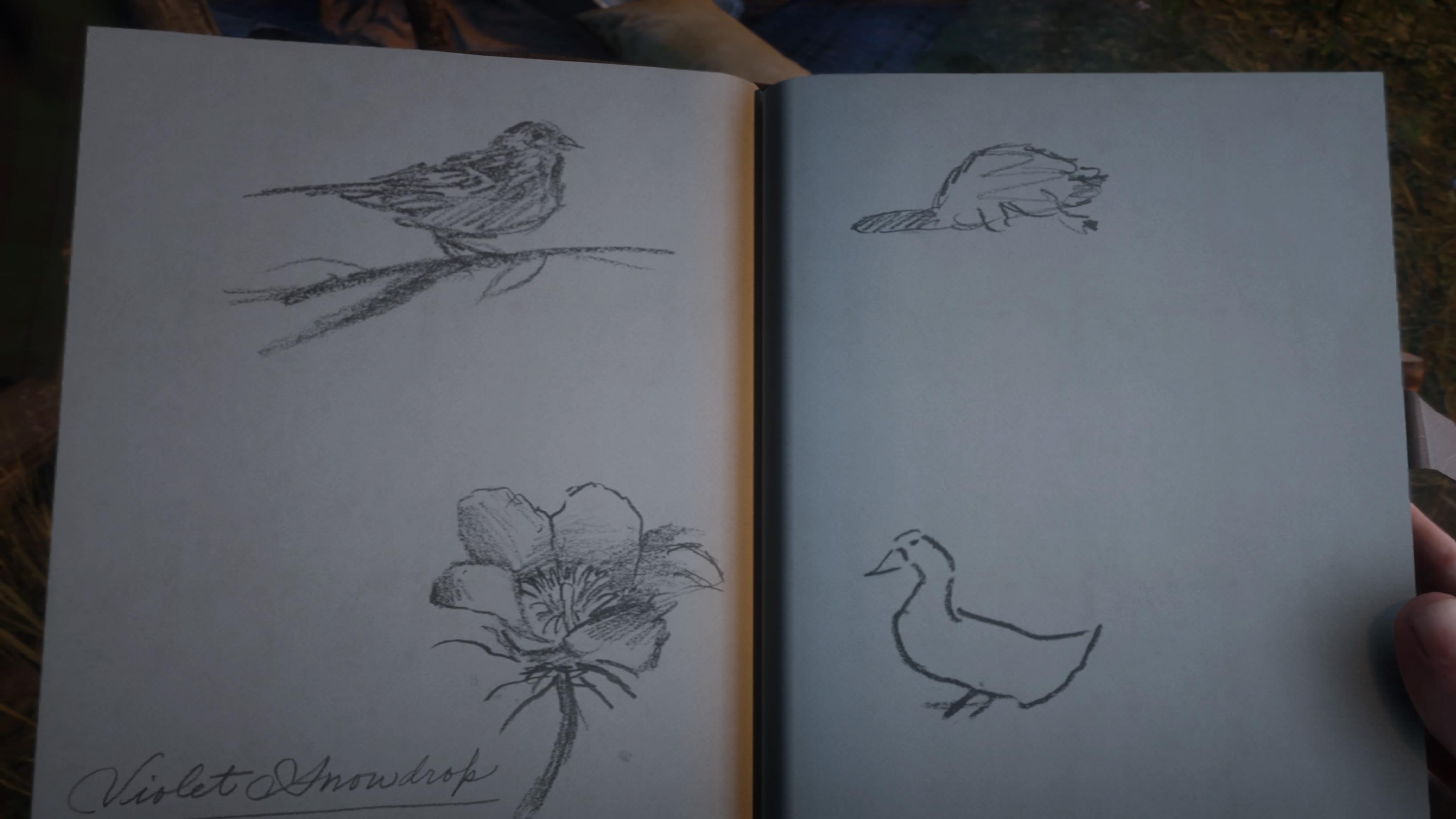 3271x1840 arthur's drawing of a duck made my day reddeadredemption - Arthur Drawing