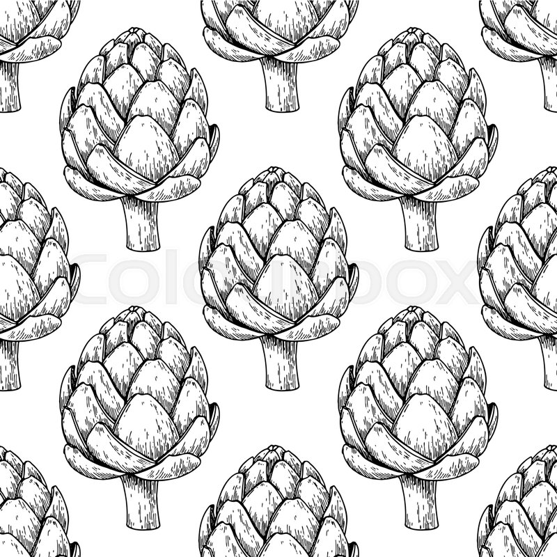 800x800 Artichoke Hand Drawn Vector Seamless Stock Vector Colourbox - Artichoke Drawing