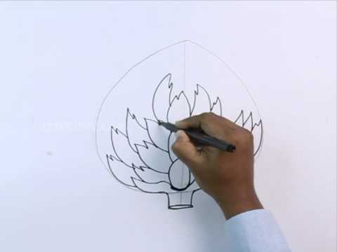 480x360 How To Draw An Artichoke - Artichoke Drawing
