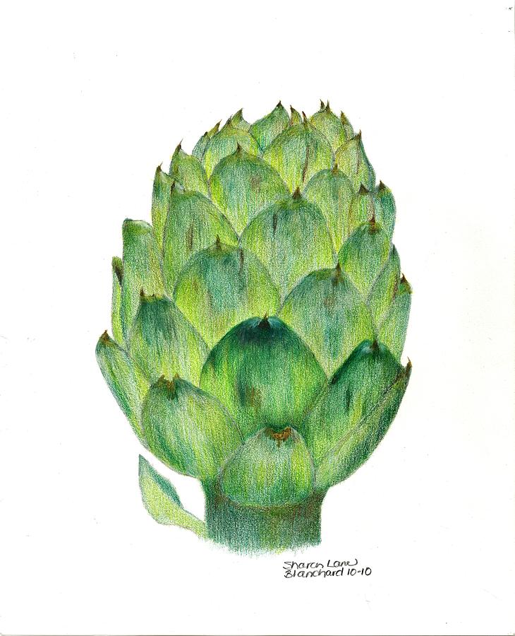 730x900 L'artichaut The Artichoke Drawing - Artichoke Drawing