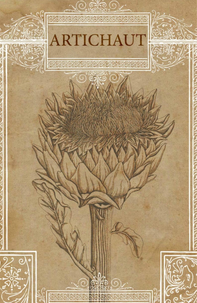 794x1220 artichoke drawing artichoke french french artichoke etsy - Artichoke Drawing