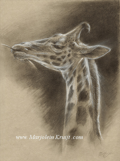 484x650 drawing techniques of the old masters - Article Drawing