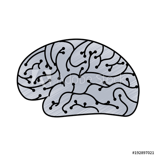 500x500 electronic circuit board brain in artificial intelligence process - Artificial Intelligence Drawing