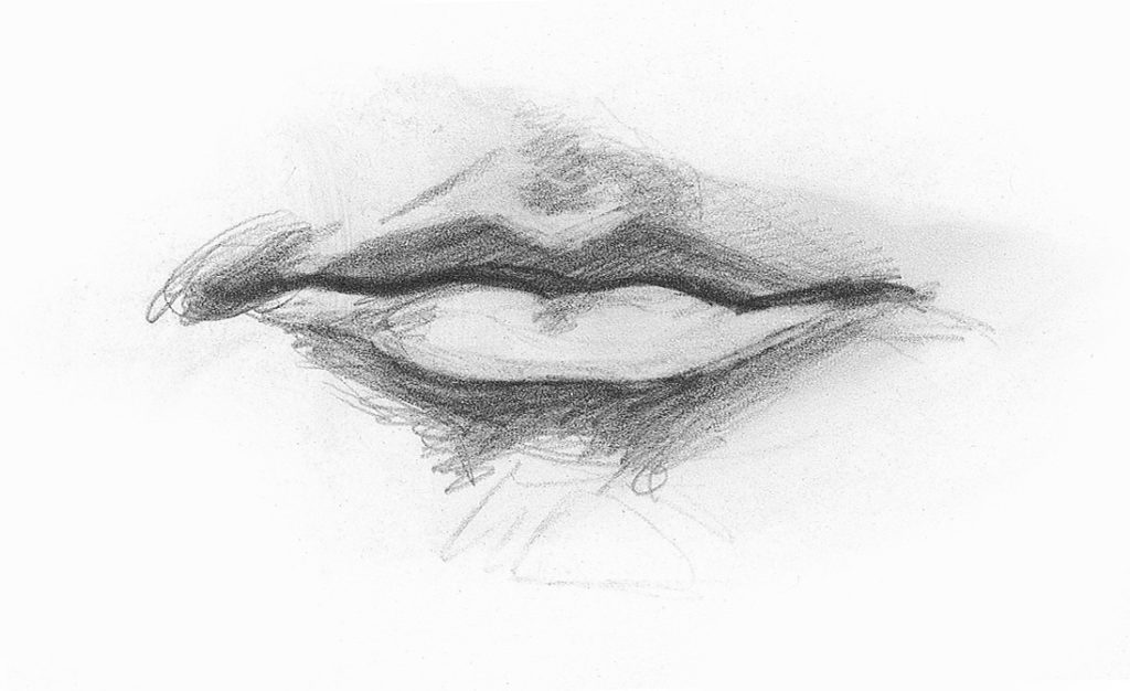 1024x626 Draw Facial Features With This In Depth Beginner's Guide - Artistic Drawings