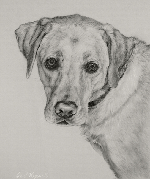 Artists That Drawing Dogs at PaintingValley.com | Explore collection of ...