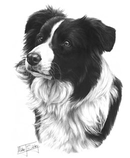 260x316 Graphite Pencil Drawing Galleries - Artists That Drawing Dogs