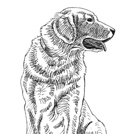 442x442 How To Draw A Dog A Free Drawing And Painting Lesson - Artists That Drawing Dogs