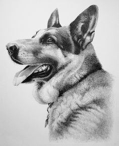 236x291 How To Draw A Dog Free Graphite Pencil Art Lesson Doggone Good - Artists That Drawing Dogs