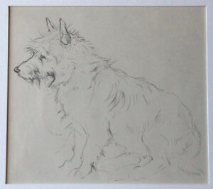 300x266 John Murray Thomson Cairn Terrier Pencil Drawing, Dog Scottish - Artists That Drawing Dogs
