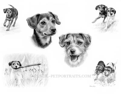 400x312 Pencil Pet Portraits - Artists That Drawing Dogs